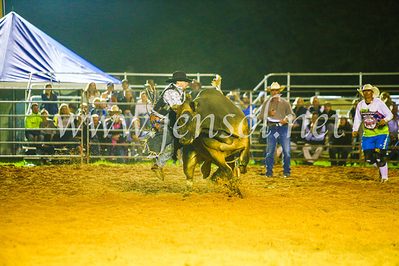 CamdenShowRodeo2017_2125