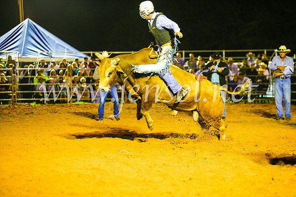 CamdenShowRodeo2017_1090