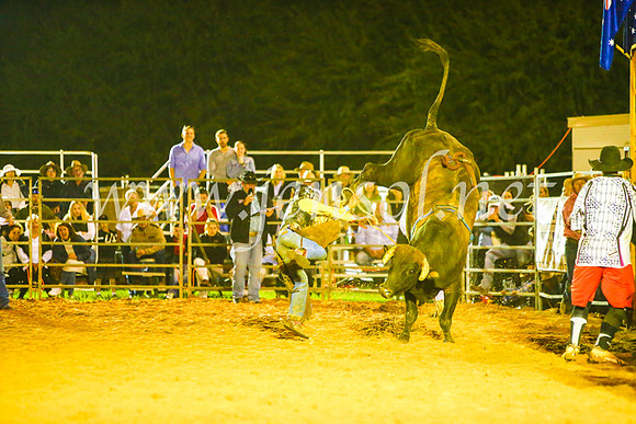 CamdenShowRodeo2017_1637