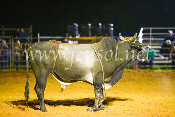 CamdenShowRodeo2017_2042
