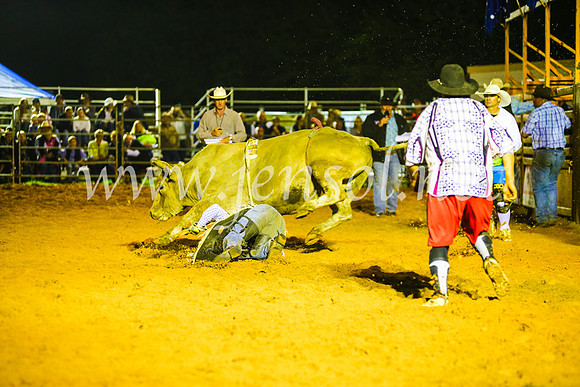 CamdenShowRodeo2017_2024