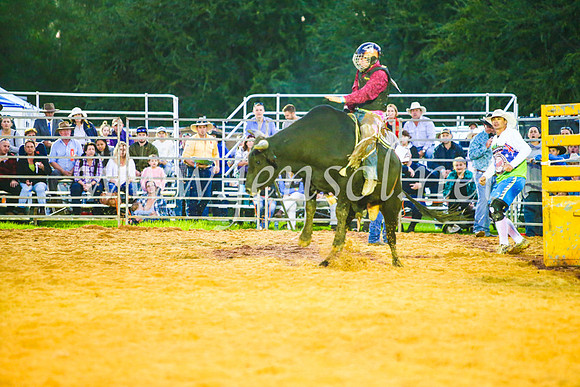 CamdenShowRodeo2017_0259