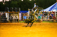 CamdenShowRodeo2017_0291