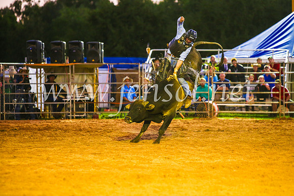 CamdenShowRodeo2017_0291