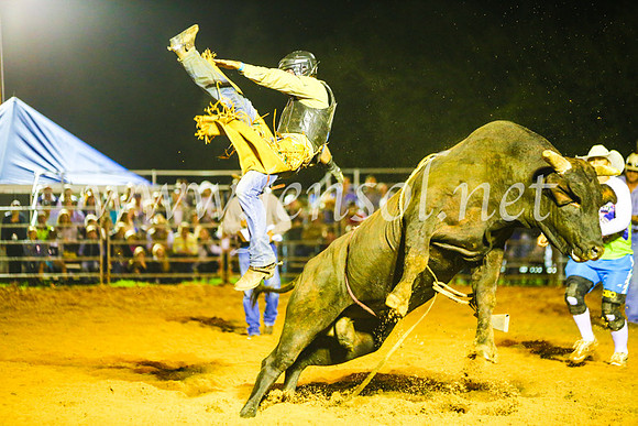 CamdenShowRodeo2017_1568