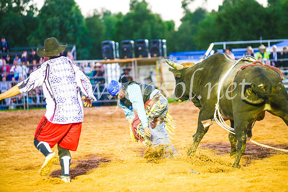 CamdenShowRodeo2017_0237