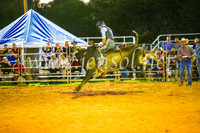 CamdenShowRodeo2017_0268