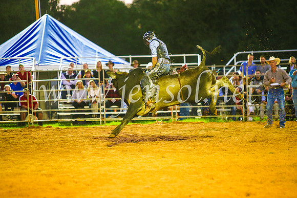 CamdenShowRodeo2017_0268