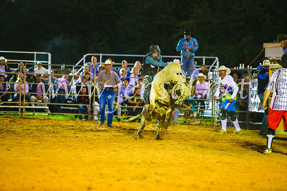CamdenShowRodeo2017_0305