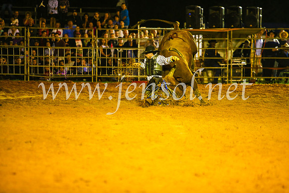 CamdenShowRodeo2017_1036