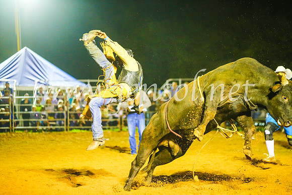CamdenShowRodeo2017_1565