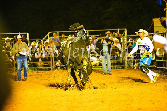 CamdenShowRodeo2017_1079