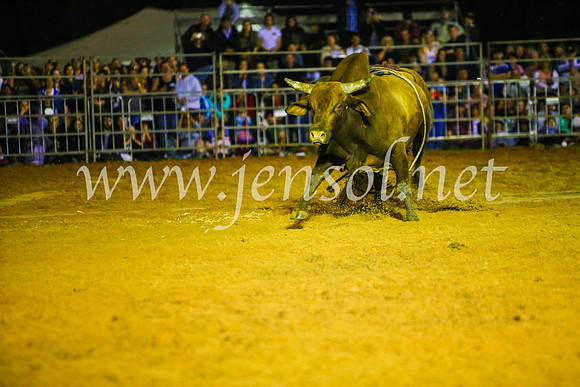 CamdenShowRodeo2017_1045