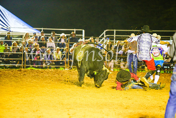CamdenShowRodeo2017_2078