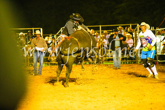 CamdenShowRodeo2017_1082