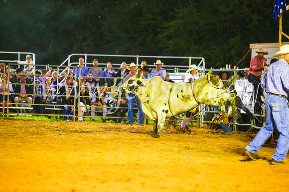 CamdenShowRodeo2017_0299