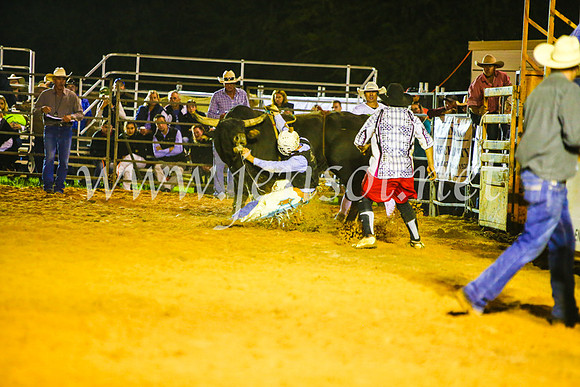 CamdenShowRodeo2017_2133