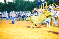 CamdenShowRodeo2017_0244