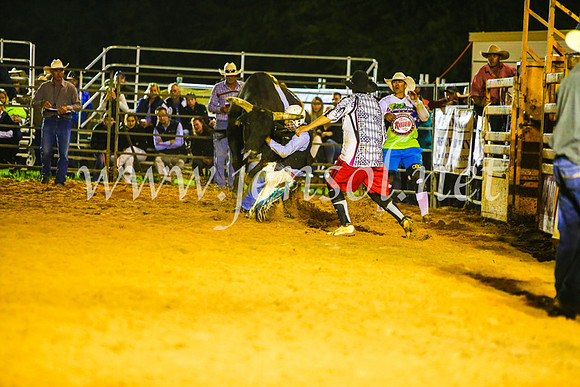 CamdenShowRodeo2017_2150