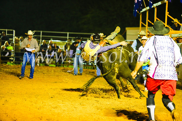 CamdenShowRodeo2017_2032