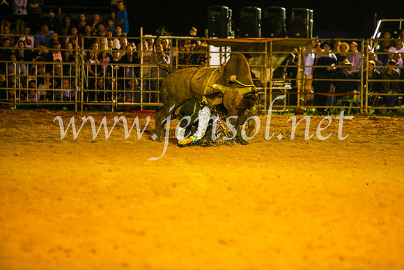 CamdenShowRodeo2017_1015