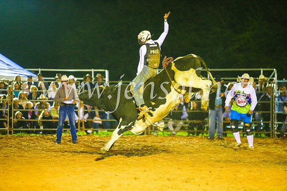 CamdenShowRodeo2017_1611
