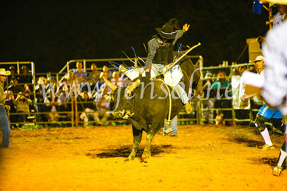 CamdenShowRodeo2017_1062