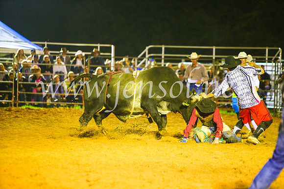 CamdenShowRodeo2017_2084