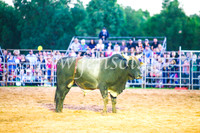 CamdenShowRodeo2017_0239
