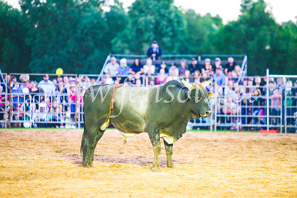 CamdenShowRodeo2017_0239