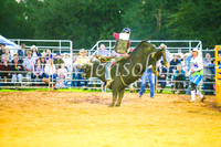 CamdenShowRodeo2017_0255