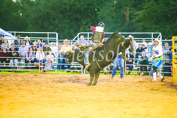 CamdenShowRodeo2017_0255
