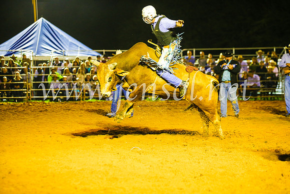 CamdenShowRodeo2017_1088