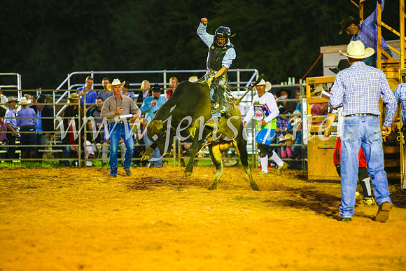 CamdenShowRodeo2017_0273
