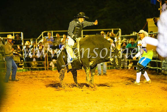 CamdenShowRodeo2017_1063