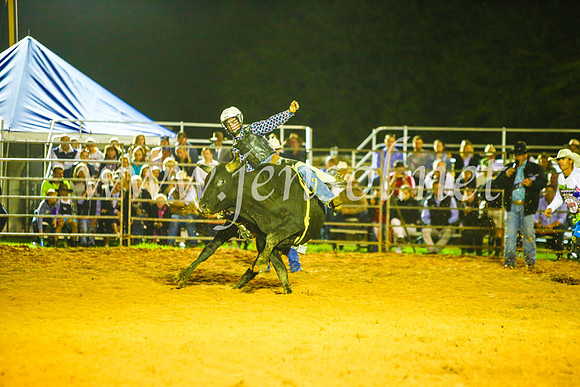 CamdenShowRodeo2017_1570