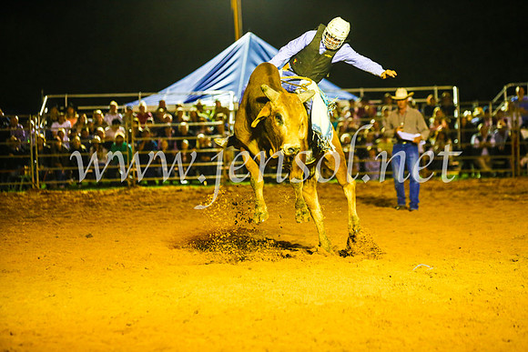 CamdenShowRodeo2017_1106