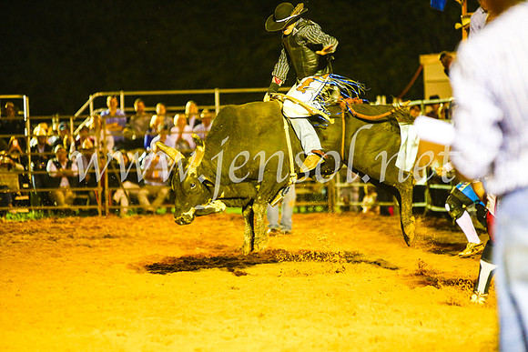 CamdenShowRodeo2017_1060
