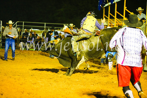CamdenShowRodeo2017_2033