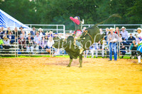 CamdenShowRodeo2017_0264