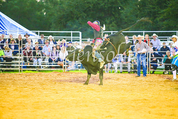 CamdenShowRodeo2017_0264