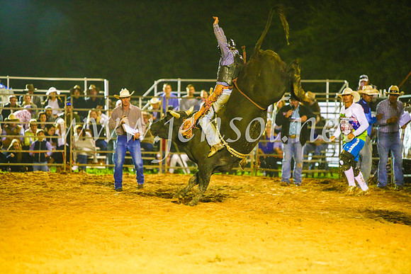 CamdenShowRodeo2017_1538