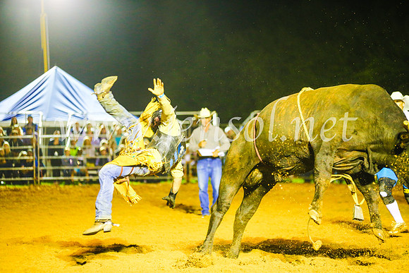 CamdenShowRodeo2017_1561