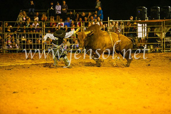 CamdenShowRodeo2017_1028