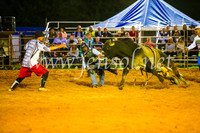 CamdenShowRodeo2017_0296
