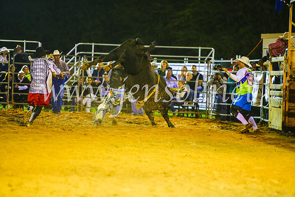 CamdenShowRodeo2017_2161