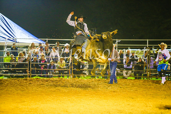 CamdenShowRodeo2017_2097