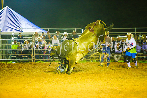 CamdenShowRodeo2017_2122