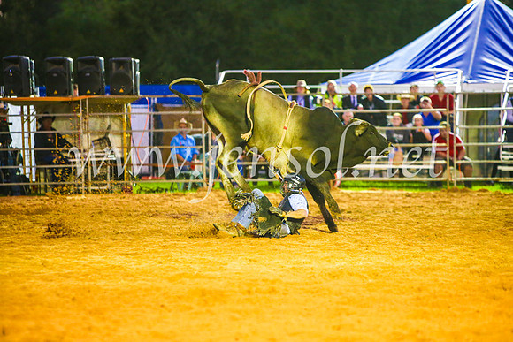 CamdenShowRodeo2017_0295