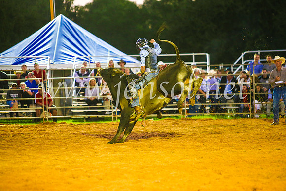 CamdenShowRodeo2017_0277